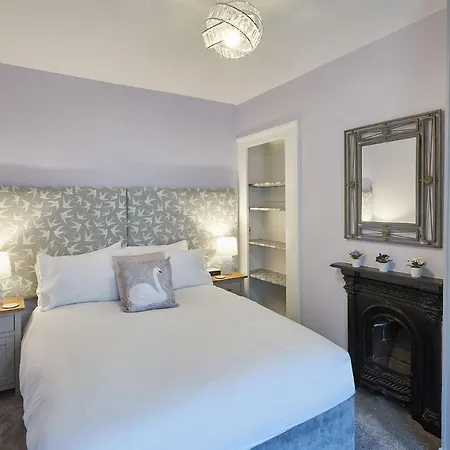 Host & - The Gray Haven